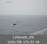 CIMG0068.JPG