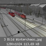 3 Bild Winterchaos.jpg