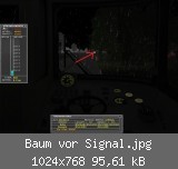 Baum vor Signal.jpg