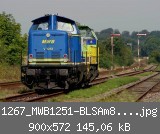 1267_MWB1251-BLSAm843502_Neuwittenbek.jpg