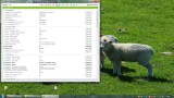 Nvidia Inspector 1.jpg