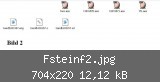 Fsteinf2.jpg
